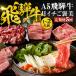 ふるさと納税 A5飛騨牛 定期便 5回 ちょこちょこお届け 牛肉 定期便 岐阜県大垣市