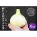 fu.... налог [ UGG li Islay ndo][ новый шар предварительный заказ ] Awaji Island новый лук репчатый UGG li шар 8kg * рассылка 3 месяц последняя декада ~ Hyogo префектура юг ... город 