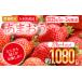 fu.... tax .... strawberry approximately 270g×4 pack total 1080g [2025 year 1 month ~3 month . sequential shipping expectation ] CB223 Fukuoka prefecture large tree block 