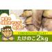 fu.... налог рисовое поле .. ...... тщательно отобранный! побеги бамбука 2kg[. мир 3 год 4 месяц c последовательный доставка ] Ibaraki префектура Tsukuba ... город 