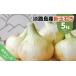 fu.... налог Awaji Island сладкий oni on Awaji Island производство новый шар лук порей 5kg * рассылка 3 месяц сверху .-6 месяц последняя декада примерно Hyogo префектура юг ... город 