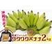 fu.... налог [ Okinawa префектура производство ]. более того ферма. wakwak banana 2kg Okinawa префектура юг способ . блок 