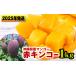 fu.... tax [2025 year shipping ] Nankoku. fruit Okinawa prefecture production mango red gold ko-1kg Okinawa prefecture south manner . block 