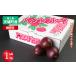 fu.... налог [2026 год отправка ] предшествующий прием добродетель . остров небо замок блок производство маракуйя A товар 1kg тропический фрукты AJ-3-N Кагосима префектура небо замок блок 