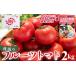 fu.... налог фрукты помидор 2kg подарок коробка {1 месяц последняя декада -5 месяц средний . примерно отгрузка } помидор yu-0018 Kochi префектура . юг город 
