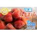 fu.... tax Fukuoka prefecture production freezing ....2kg(1kg×2) strawberry ..... popular great popularity Fukuoka Kyushu fruit strawberry freezing TY015 Fukuoka prefecture . beautiful block 