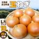 fu.... налог Hokkaido Naganuma блок производство шар лук порей L большой размер 10kg_ овощи шар лук порей лук репчатый tama лук-батун _[1229123] Hokkaido Naganuma блок 