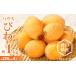fu.... tax house loquat approximately 1kg[2025 year 3 month middle .~2025 year 5 month on . delivery ][T006-208] Kagawa prefecture Takamatsu city 