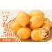fu.... tax house loquat vanity case approximately 500g[2025 year 3 month middle .~2025 year 5 month on . delivery ][T006-209] Kagawa prefecture Takamatsu city 