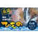 fu.... налог тщательно отобранный сушеный продукт 6 вида комплект создание 80 год! земля изначальный . love быть популярный сушеный продукт B комплект ( ставрида японская открытие ×2 листов, морская щука открытие ×2 листов, сайра открытие ×2.. Wakayama префектура futoshi земля блок 