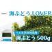 fu.... налог море виноград Lover 500g упаковка [2025 год 4 месяц .. последовательный отправка ] Okinawa префектура ... город 