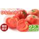 fu.... налог < предшествующий предварительный заказ принимается!2026 год 2 месяц c последовательный отправка предположительно >. топорик. ...( итого 2.2kg*1.1kg×2 коробка ) помидор фрукты помидор сахар раз 9 раз . Ueno.. Miyazaki префектура . река блок 