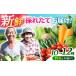 fu.... налог ... .. ...* набор 10~12 товар степень / сезон . овощи ... весна овощи лето овощи осень овощи комплект набор /.. город /. передний g.. Nagasaki префектура .. город 