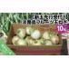 fu.... налог [ новый шар предварительный заказ!] Awaji Island фрукты шар лук порей 10kg Hyogo префектура юг ... город 