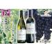 fu.... tax fixed period flight wine red white cheap cloudiness .meru low &amp; cheap cloudiness . car rudone each 750ml×12 times total total 24ps.@.. comparing red wine white wine / car to-.. Nagano prefecture Ikeda block 