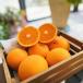 fu.... налог Arita ... .. Kiyoshi видеть orange (. для бытового использования ) примерно 3kg[ предшествующий предварительный заказ ][MS32] Wakayama префектура .... блок 