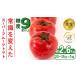 fu.... налог super фрукты помидор большой коробка примерно 2.6kg × 1 коробка [AF063ci] Ibaraki префектура . запад город 