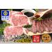 դ뤵Ǽ 21kg յ ȥӡդȥơ A5 εܺ긩 ¼  񻺵 µ µ  .. ܺ긩¼