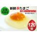 fu.... налог яйцо красный Tama .120 шт яйцо Kyoto (столичный округ) черепаха холм город 