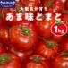 fu.... налог Osaka Izumi ..... тест ...1kg овощи помидор свежий фрукты помидор лето овощи еда стоимость товар гидропонная культура средний шар ..... налог популярный свежий [051D-006.. Osaka (столичный округ) Izumi юг город 