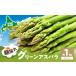 fu.... налог [2026 год 4 месяц ~ отправка ] утро ... хорошо . город зеленый aspalaL размер примерно 1kg (. рисовое поле . ферма ) овощи свежий прямая поставка утро .. спаржа.. Hokkaido . хорошо . город 