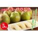 fu.... налог FYN9-387 {2026 год предшествующий предварительный заказ } Yamagata префектура производство запад груша la* Франция 5kg(14~20 шт ) 2026 год 11 месяц сверху . из последовательный отправка груша обыкновенная la Франция осень плоды ... Yamagata префектура запад река блок 