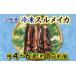 ふるさと納税 冷凍スルメイカ 中 ４本〜６本 （約１kg前後） 岩手県普代村