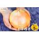 fu.... tax Awaji Island onion large 2L size 5kg Hyogo prefecture .. city 