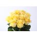 fu.... tax [ fixed period flight :12 months ]. branch rose . from direct delivery!Flower Bouquet(15ps.@. bouquet ) yellow series Shiga prefecture . mountain city 