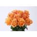 fu.... tax [ fixed period flight :12 months ]. branch rose . from direct delivery!Flower Bouquet(15ps.@. bouquet ) orange series Shiga prefecture . mountain city 