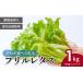 fu.... налог оборка lettuce экономичный 500g×2 упаковка 1kg | lettuce восток Matsuyama город Saitama префектура восток Matsuyama город 