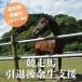 fu.... tax . mileage horse horse racing .. after over raw support black .. horse .500 ten thousand jpy course Kochi prefecture . cape city Kochi prefecture . cape city 
