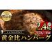 �ӂ邳�Ɣ[�� �V�F�t�������̉�����r�[�t�n���o�[�O(�v2.4kg�E150g�~16��)�Ⓚ �n���o�[�O �Ă����� ���� �ؓ� �X�p�C�X ���� �ʂ˂� ��.. ���{���ʎs