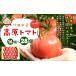 �ӂ邳�Ɣ[�� �y�|�c�s�Y�z�����g�}�g 16�`28�� �y2026�N5�����{-2027�N1����{�����\��z �啪���|�c�s