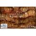 fu.... налог 8-024-003 рефрижератор креветка Botan shrimp 900g(39 хвост ~54 хвост ) Hokkaido больше шерсть блок 