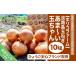 fu.... tax * Awaji Island sphere leek * child .. large liking!!..~. sphere Chan 10kg*.... safety brand acquisition * Hyogo prefecture south ... city 