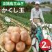 fu.... налог сейчас . ферма. Awaji Island лук репчатый [. расческа шар ] 2kg шар лук порей Hyogo префектура .. город 