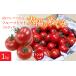 fu.... налог высота сахар раз ..~.! фрукты помидор [ солнце. ...]1kg 6-180 ALPBI001 | высота сахар раз рекомендация прямая поставка от производителя свежий свежий высота питание.. Yamanashi префектура юг Alps город 