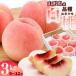 fu.... налог . мир 8 год производство Yamagata префектура производство белый персик 3kg товар вид случайный превосходящий товар Yamagata префектура производство [2026 год 8 месяц сверху . примерно из 9 месяц последняя декада примерно отправка предположительно ] 014-B-JA048 Yamagata префектура холод река . город 