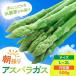 fu.... налог . рис сельское хозяйство дом ..... спаржа L~2L 500g.. город Ikemoto сельское хозяйство . спаржа Gifu префектура .. город 