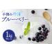 fu.... налог голубика рефрижератор 500g × 2 пакет 1kg [ сельское хозяйство . производство предмет прямые продажи место прекрасный .no магазин Miyazaki префектура прекрасный . блок 31ab0135] Miyazaki префектура прекрасный . блок 