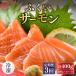 fu.... налог [3 месяцев продолжение доставка ]... salmon 400g( sashimi для ) вакуум рефрижератор 100g×4 упаковка ×3 раз [ salmon лосось sashimi кета небольшое количество . сырой еда местного производства.. Fukui префектура склон . город 
