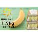 fu.... налог [ снег страна Niigata производство banana ]1.7kg(12~16шт.@). толщина ........ еда чувство! безопасность безопасность. . после баннер na[ZH628] Niigata префектура Kashiwa мыс город 