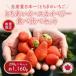 fu.... налог клубника .....* Sky Berry еда . сравнение комплект (290g×4 упаковка )*2027 год 1 месяц ~ отправка Tochigi префектура Sakura город 