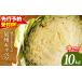 ふるさと納税 射手矢さんちの泉州キャベツ 10kg 先行予約 大阪府泉佐野市