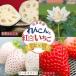 �ӂ邳�Ɣ[�� �y2027�N�����z���ꌧ�Y ��񂱂�ƍg���������̃Z�b�g � �C�`�S �@���FB240-008 ���ꌧ����s