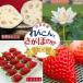 �ӂ邳�Ɣ[�� �y2027�N�����z���ꌧ�Y ��񂱂�Ƃ����ق̂��̃Z�b�g � �C�`�S �@���FB160-020 ���ꌧ����s