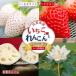 �ӂ邳�Ɣ[�� �y�����3��z���ꌧ�Y �������Ƃ�񂱂�y2027�N1���`3�������z� �C�`�S �@���FB420-001 ���ꌧ����s