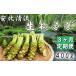 fu.... tax raw wasabi 400g fixed period flight 3 months [ cheap ratio Kiyoshi . mountain ..] | mountain . wasabi condiment direct delivery from producing area fresh Iwate prefecture Hachiman flat city 