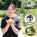 fu.... налог Awaji Island шар лук порей .-AYUMU- 5kg шар лук порей Hyogo префектура .. город 